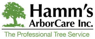 Madison Tree Service